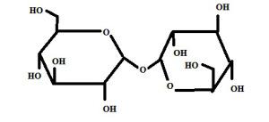 Trehalose in Freeze Drying of Biomaterials