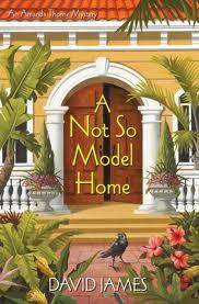 Review:  A Not So Model Home by David James