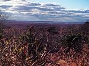 Gorgeous Winter Montauk. Hither Hills West Outlook)