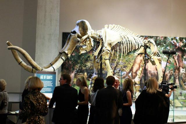 Scenes from the Perot Museum Opening Gala