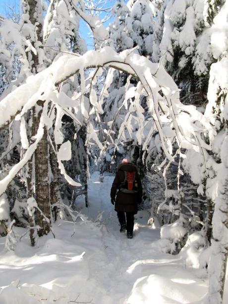Dobson Trail, New Brunswick, Winter
