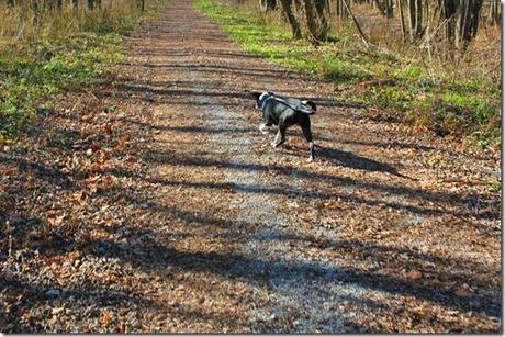 Walking By The River With Ellie