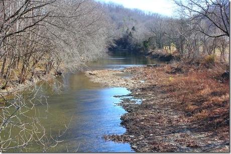 Walking By The River With Ellie