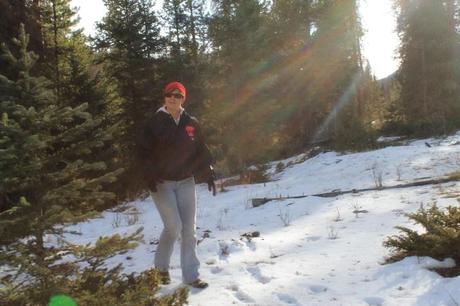 Christmas Tree Hunting