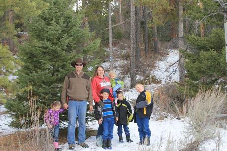 Christmas Tree Hunting