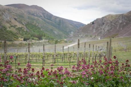 Skip Town in Queenstown, New Zealand