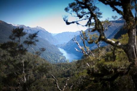 Skip Town in Queenstown, New Zealand