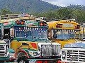 Chicken Buses Guatemala