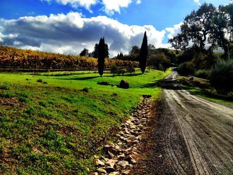 This & That: Vacay Edition glen ellen