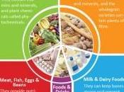 Healthy Balanced Diet Tips
