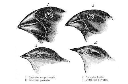 5 Historical Myths About Real Scientific Discoveries