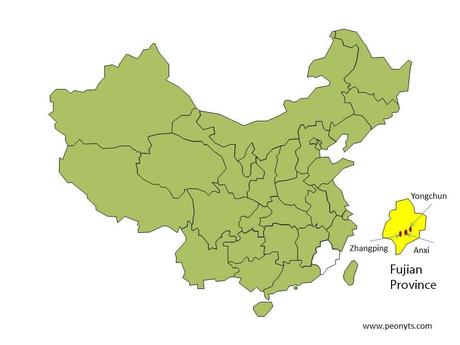 Overview of Minnan Oolong