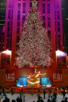 Oh Christmas Tree..Oh Christmas Tree!