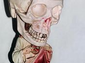 Lucas Price T.E.A.M Atlas Exhibition