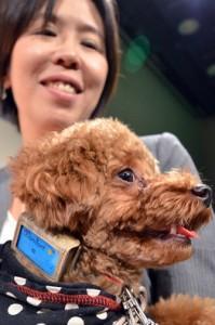 How Does Your Dog Feel? Fujitsu May Know