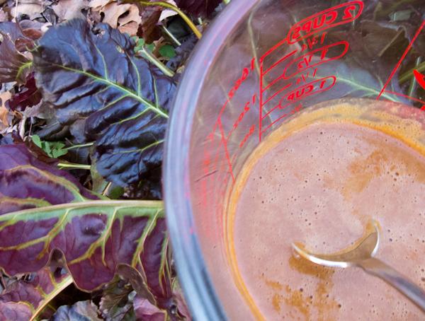 Photo of peanut sauce in 2 cup measuring cup in garden beside swiss chard
