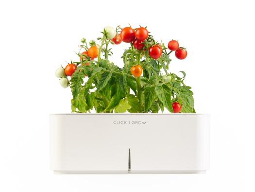 Click&Grow;: The High-Tech Way of Growing Your Own Vegetables