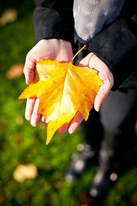 A golden Autumn Engagement Shoot. A golden Autumn Engagement Shoot.