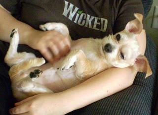 My Blogging Assistant and Reading Pal...