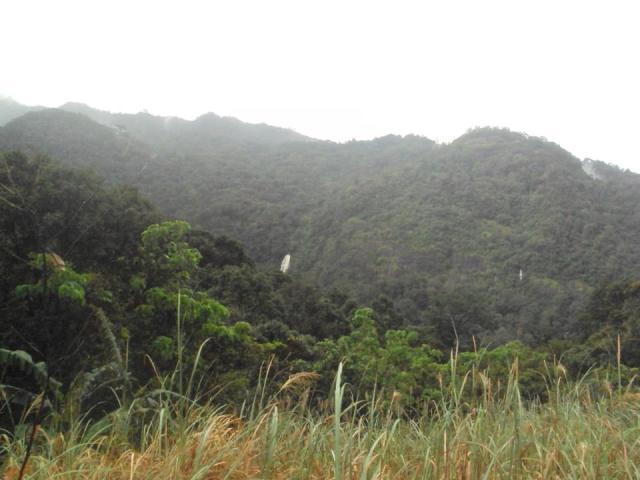 The view of the mountain side with falls.