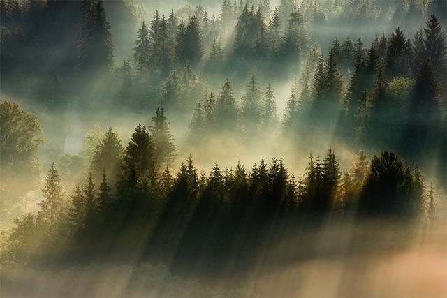 http://www.thisiscolossal.com/wp-content/uploads/2012/11/fog-3.jpg