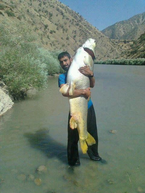 Kashmir Fishing