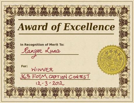 award_certificate1