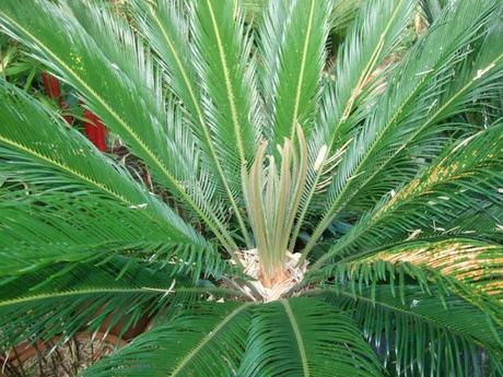 Exotics in the Winter