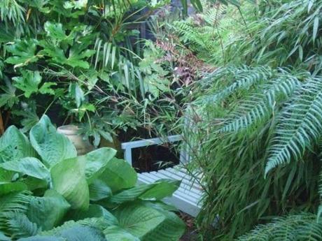 Exotics in the Winter