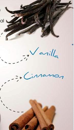 Vanilla and Cinnamon Sticks
