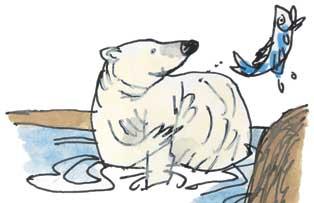 Polar bear illustration by Tim Archbold