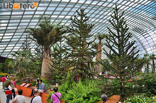 Singapore’s Gardens by the Bay: My First Time
