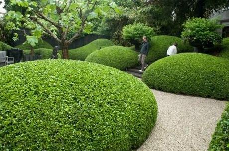 Sumptuously curvy hedging in Amsterdam 2
