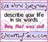 Six Word Saturday –  8 December 2012