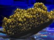 Celebrity Chef Eric Ripert Launches Line Caviar