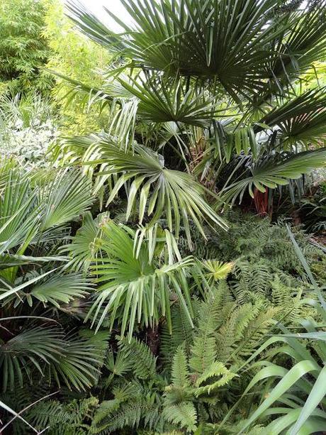 Hosting Danger Garden