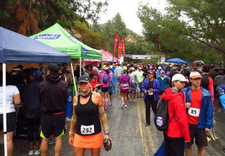 Griffith Park Trail Half Marathon