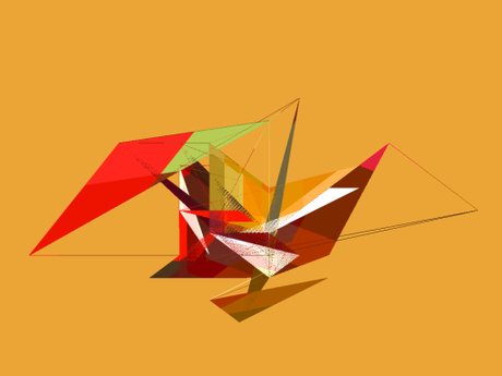 5 Birds and others