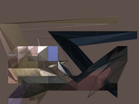 6 Birds and others