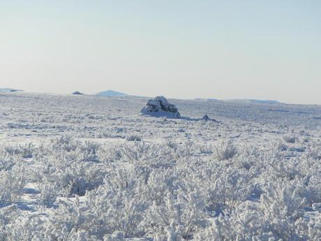 Frozen Tundra | Northern Alska