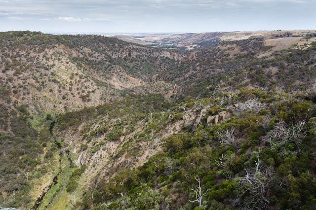 view of werribee gorge from falcons lookout
