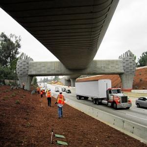 The Arcadia Gold Line bridge spans 584 feet over the Foothill Freeway - Photo by Jim E. Winburn