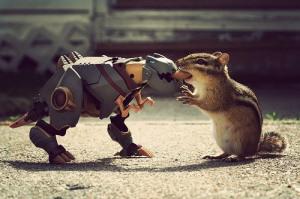squirrel-vs-robot1