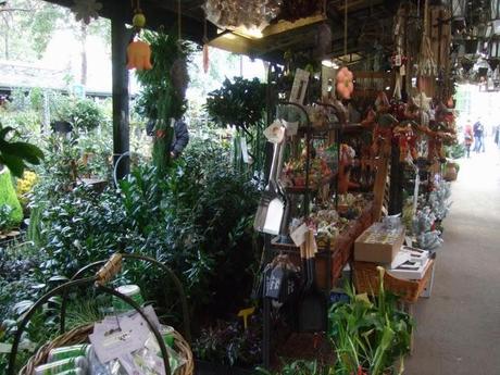 Marché aux Fleurs in Paris