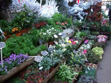 Marché aux Fleurs in Paris