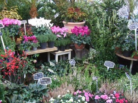 Marché aux Fleurs in Paris