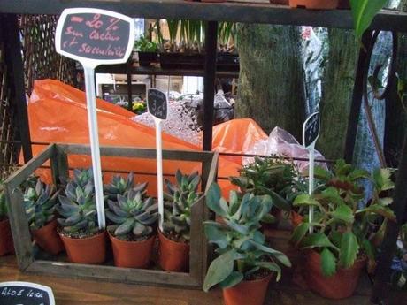 Marché aux Fleurs in Paris
