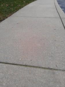 Sidewalk Cracks