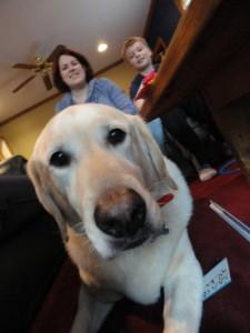 Shelter dog offers grieving family ‘pet therapy’