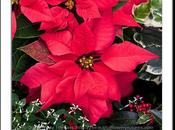 Links December 2012